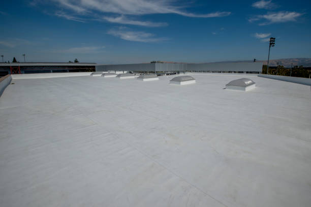 Best Commercial Roofing Services  in Malone, FL